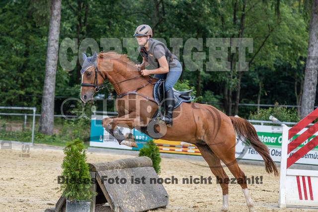 Hunter Geländetraining 10.07.2021 (Sonsbeck)