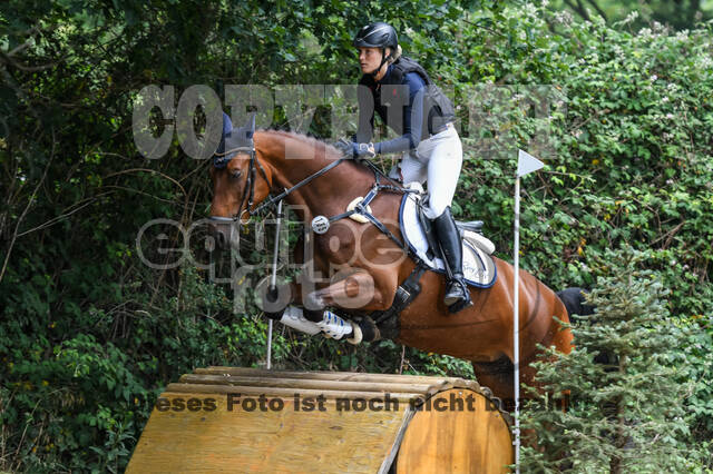 Late-Entry-Vielseitigkeit Langenfeld (11.+13./14.06.2020)