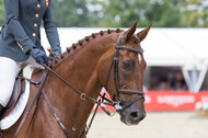 FEI European Championship Eventing 2017