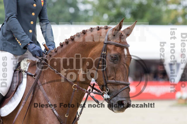 FEI European Championship Eventing 2017