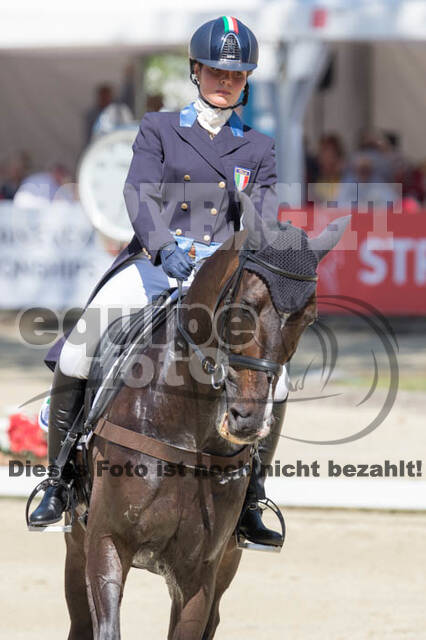 FEI European Championship