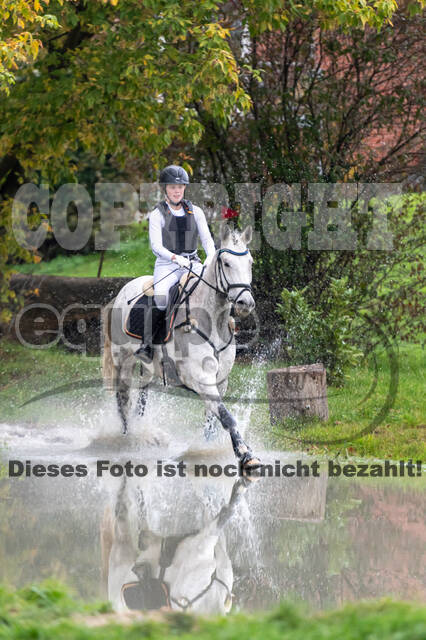 Goldene Schärpe 2020 - Pferde