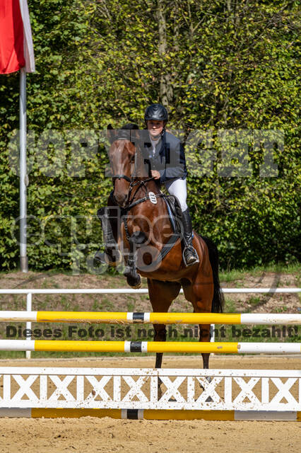 RFV Dinslaken-Hiesfeld (Herbstturnier)