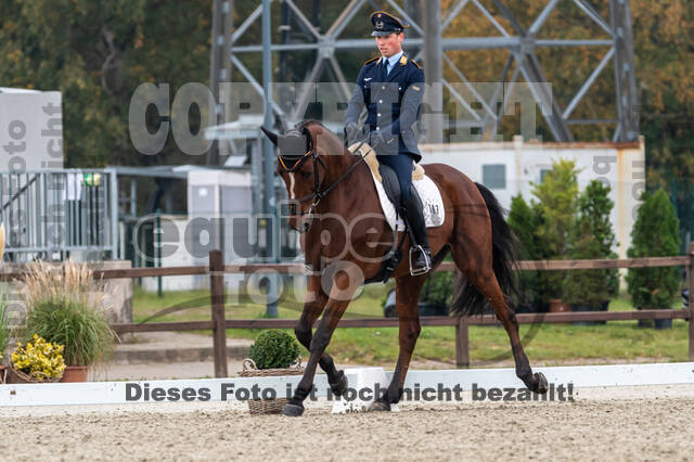 Deutsche Meisterschaft Vielseitigkeit (Luhmühlen)