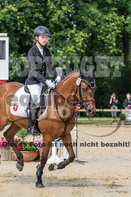 Goldene Schärpe 2021 - Ponys
