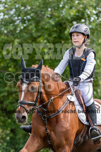 Bonn-Rodderberg Late-Entry-Vielseitigkeit (30.06.2020)