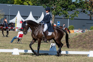 Kronenberg - De Peelbergen (August 2020)