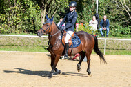 RFV Dinslaken-Hiesfeld (Herbstturnier)