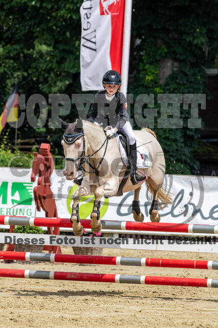 Goldene Schärpe 2021 - Ponys