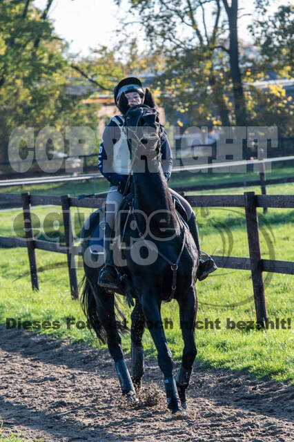 Vielseitigkeitslehrgang mit Jürg Kurbel (9.+10.11.2019)