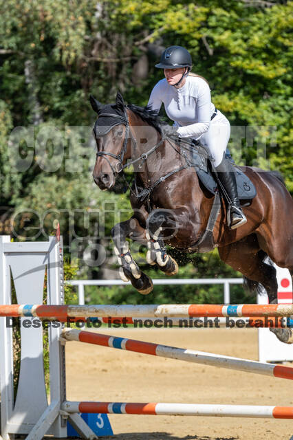 RFV Dinslaken-Hiesfeld (Herbstturnier)