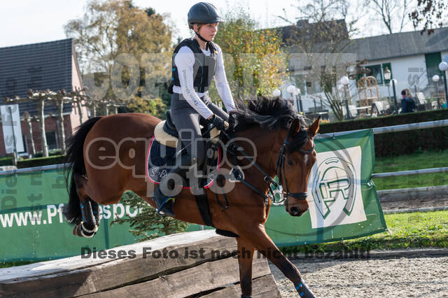 IGV Lehrgang der Sieger der Cups mit Frank Ostholt