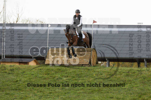 IGV Lehrgang der Sieger der Cups mit Frank Ostholt