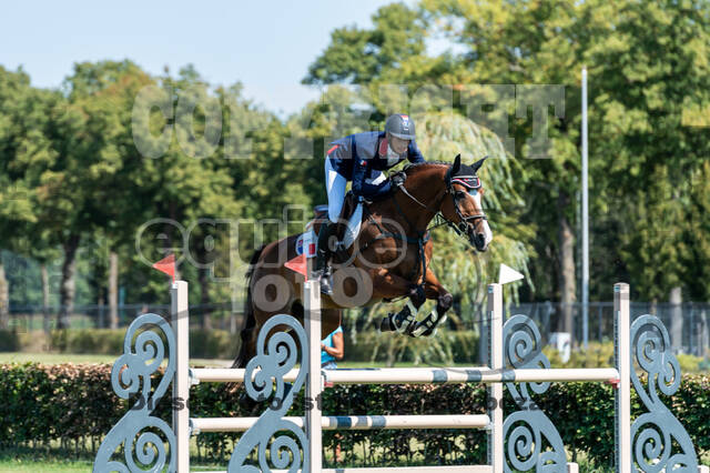 Kronenberg - De Peelbergen (August 2020)