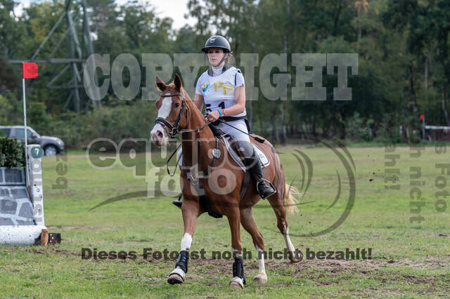 Vielseitigkeit RSV Wesel Obrighoven (26.+27.09.2020)