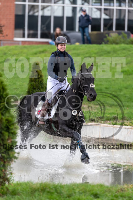 Goldene Schärpe 2020 - Pferde