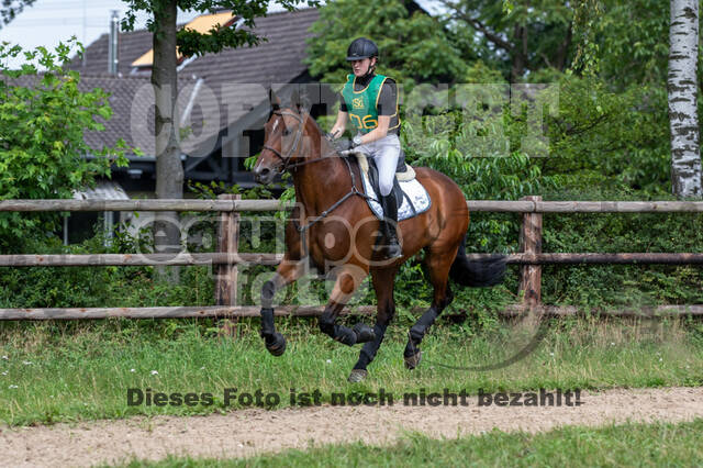 Late-Entry-Vielseitigkeit Gahlen (18.07.2020)