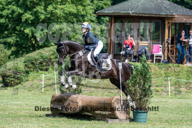 Goldene Schärpe 2021 - Ponys