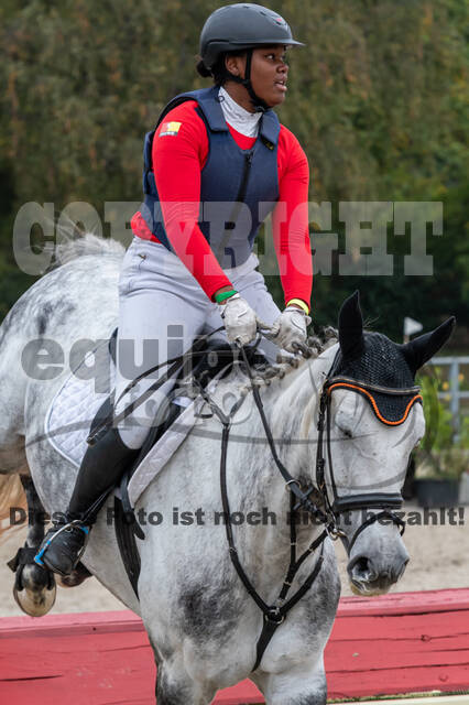 Goldene Schärpe 2020 - Pferde