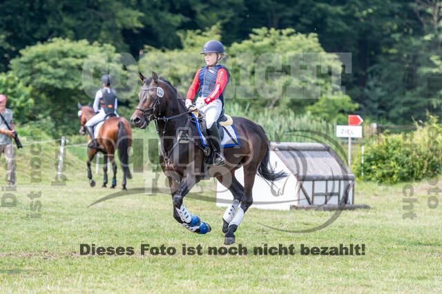 Goldene Schärpe 2021 - Ponys