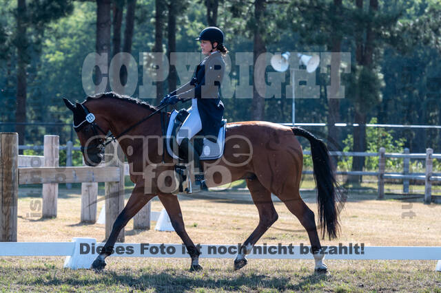 Kronenberg - De Peelbergen (August 2020)