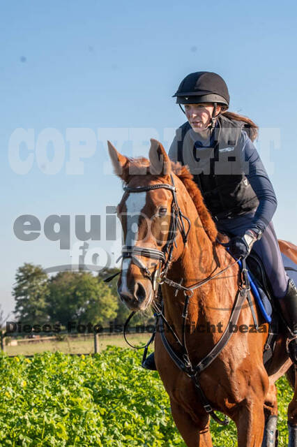 Vielseitigkeitslehrgang mit Jürg Kurbel (9.+10.11.2019)