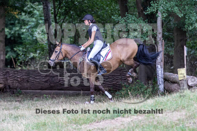 Late-Entry Vielseitigkeit Hamminkeln/Wesel (01.+02.08.2020)