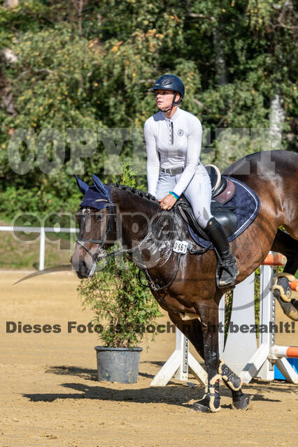 RFV Dinslaken-Hiesfeld (Herbstturnier)