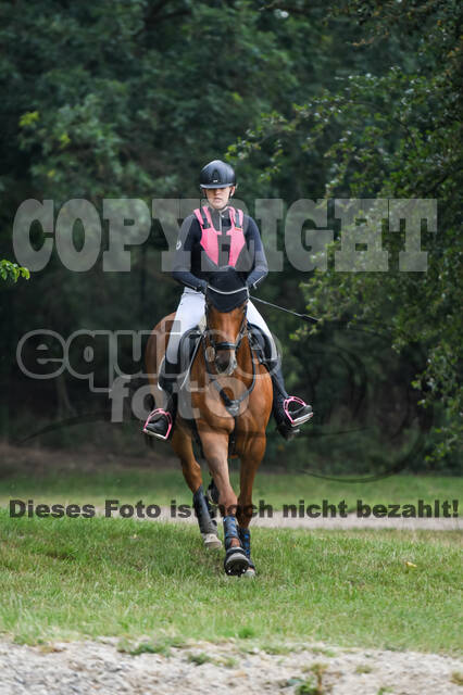 Late-Entry-Vielseitigkeit Langenfeld (11.+13./14.06.2020)