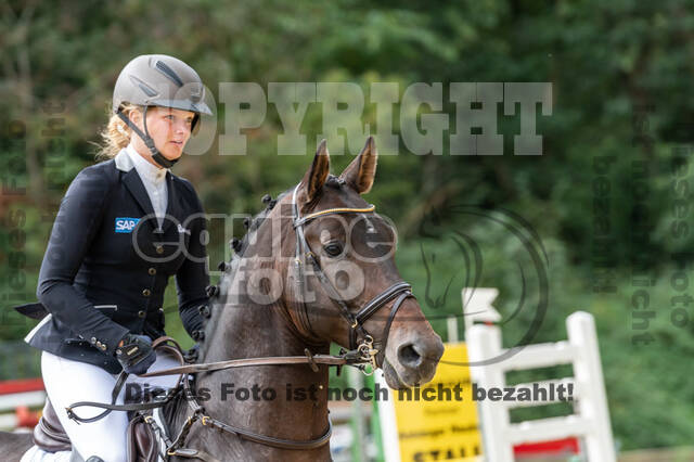 Vielseitigkeit RSV Wesel Obrighoven (26.+27.09.2020)