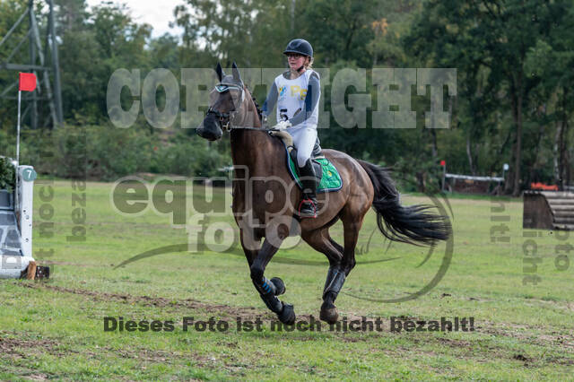 Vielseitigkeit RSV Wesel Obrighoven (26.+27.09.2020)