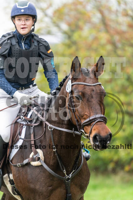 Goldene Schärpe 2020 - Pferde