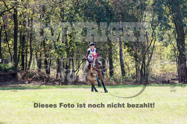 Vielseitigkeitsturnier RSV St. Hubertus Wesel Obrighoven