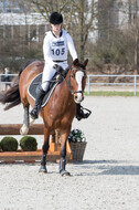 Eventing Langenfeld 2018