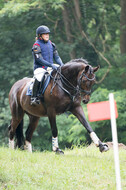 Vielseitigkeitsturnier Bad Honnef