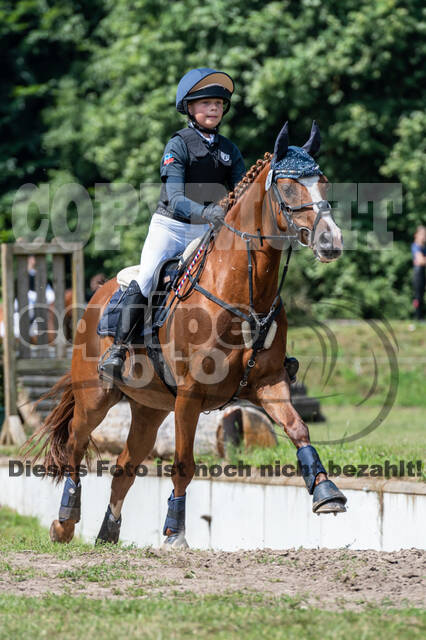 Goldene Schärpe 2021 - Ponys