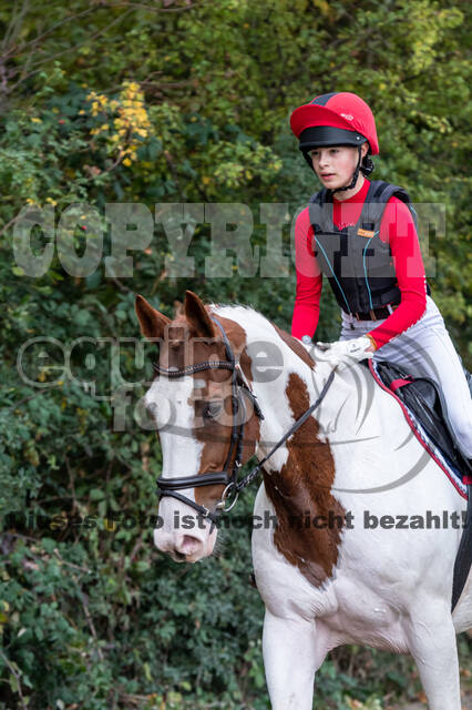 Goldene Schärpe 2020 - Pferde