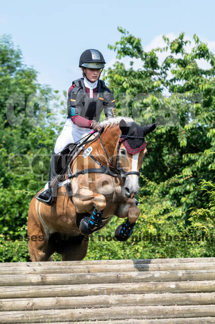 Goldene Schärpe 2021 - Ponys