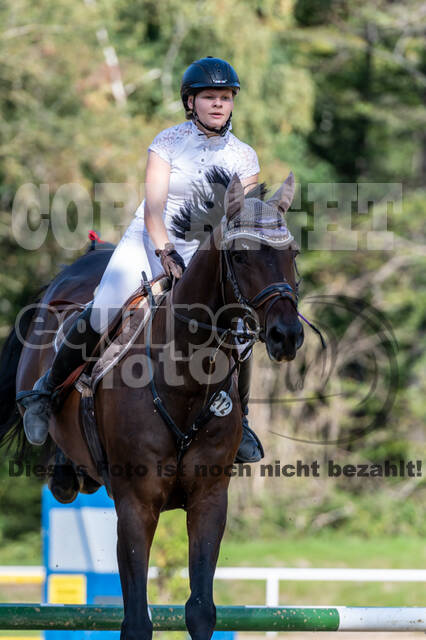 RFV Dinslaken-Hiesfeld (Herbstturnier)