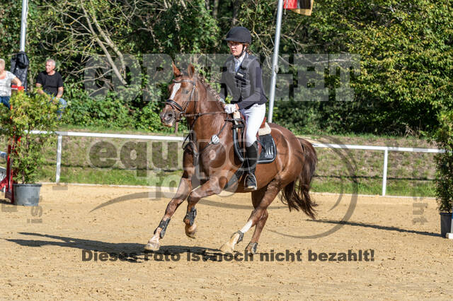 RFV Dinslaken-Hiesfeld (Herbstturnier)