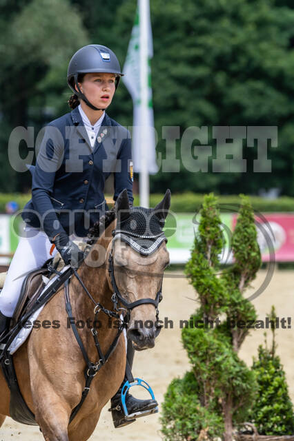 Goldene Schärpe 2021 - Ponys