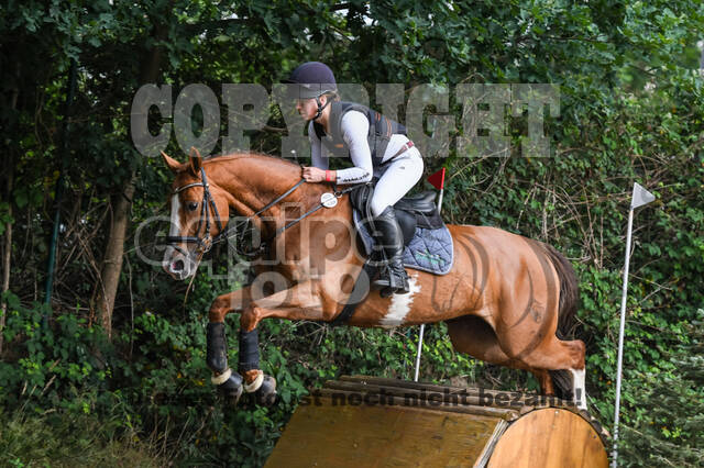 Late-Entry-Vielseitigkeit Langenfeld (11.+13./14.06.2020)