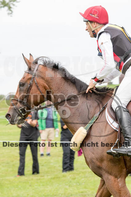 FEI European Championship Eventing 2017