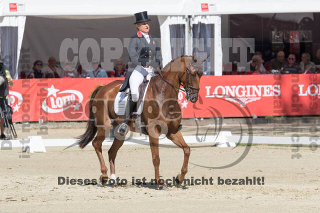 FEI European Championship Eventing 2017