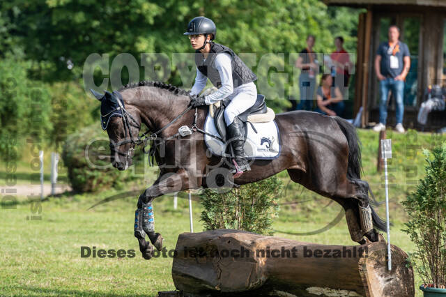 Goldene Schärpe 2021 - Ponys