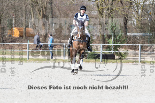 Eventing Langenfeld 2018