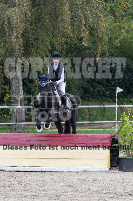 Goldene Schärpe 2020 - Pferde