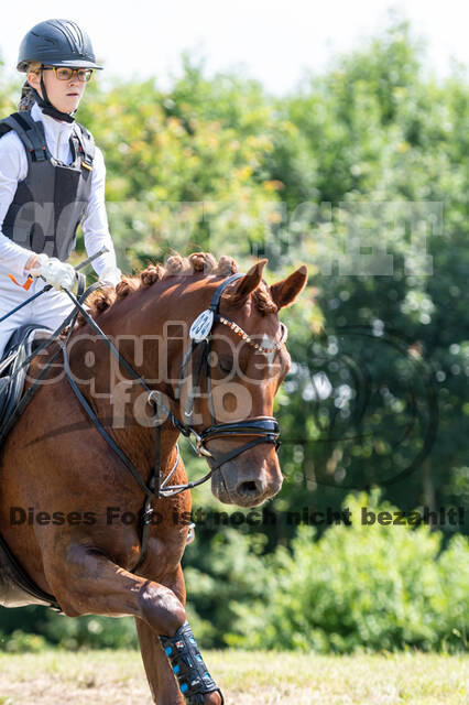 Goldene Schärpe 2021 - Ponys