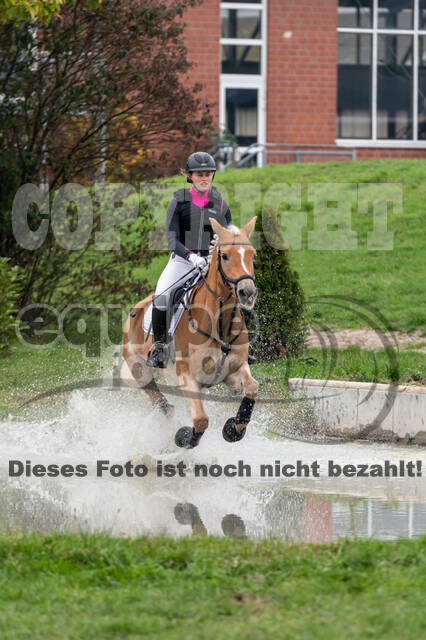 Goldene Schärpe 2020 - Pferde