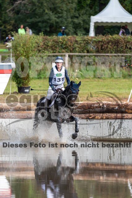 Deutsche Meisterschaft Vielseitigkeit (Luhmühlen)